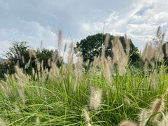 -东钱湖旅游度假区