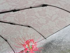 -安徽工业大学(秀山校区)