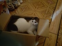 -深圳野生动物园
