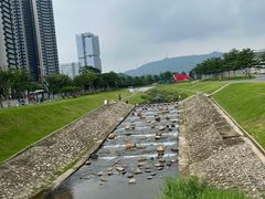 -光明小镇欢乐田园