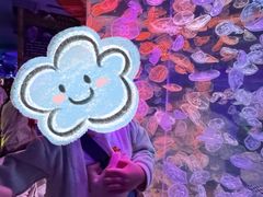 -多彩贵州城极地海洋世界