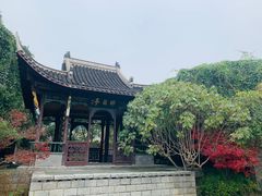 -武汉园博园(武汉自然博物馆)