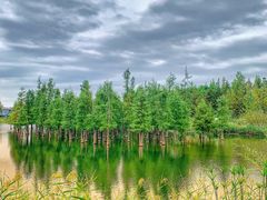 -白鹭湾湿地公园