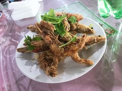 -叶存利海鲜大馅饺子(东戴河止锚湾店)