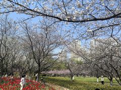 -白塘生态植物园