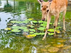 -宁波九龙湖开元度假村