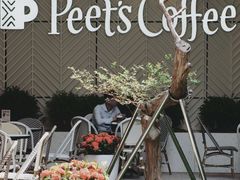 -Peet's Coffee皮爷咖啡(万象天地店)