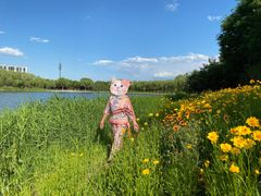 -大兴滨河森林公园