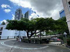 -香港大学
