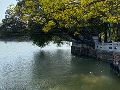 -潮州西湖