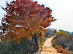 -棋盘山风景区