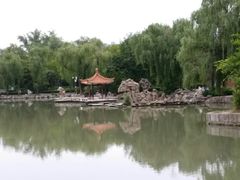 -西苑公园