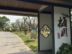 -上海长兴岛郊野公园