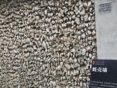 -碧江金楼