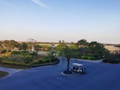 -棕榈滩海景高尔夫俱乐部
