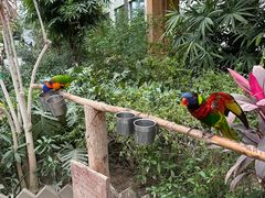 -南宫五洲植物乐园