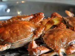 蒸花蟹-贺富酒家(白藤二路分店)