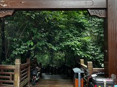 -紫金山山顶公园