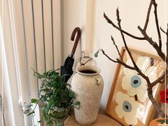 -团子君寿司·茶