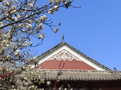 -长春观