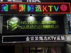 -金青果甄选KTV(劳动公园店)