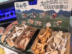 -芸山季·云南山珍菌火锅(人民广场来福士店)