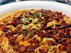 -大连湾旭日·家宴·海肠捞饭(马栏广场店)