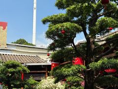 -猪肉婆私房菜(容桂总店)