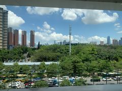-百年果林椰子鸡(中洲店)