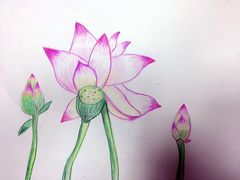 -东方童画少儿美术(莘庄体验馆)