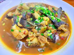 -全乐鱼馆·淳牌有机鱼直营店