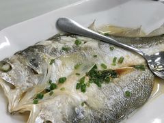 -双月饭店·20年老字号(新村店)