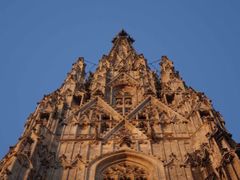 -斯蒂芬主教座堂(Stephansdom)