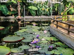 -国家植物园南园