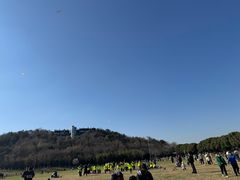 -羊山湖公园