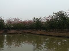 -润记农家菜