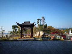 -三百山服务区-停车场