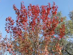 -香山公园-东宫门售票处