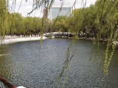 -满都海公园