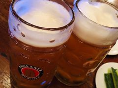 -宝莱纳啤酒花园餐厅PAULANER BRAUHAUS Nanjing(广州路店)