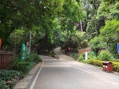 -三门江国家森林公园