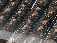 -司乎·日式鲜吐司(诸暨万风新天地店)