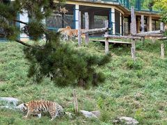 -大连森林动物园