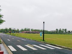 -春花秋色城市公园