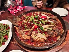 -老板恋上鱼(恒隆广场店)