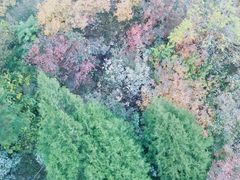 -香山公园