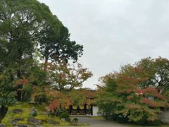 -醍醐寺