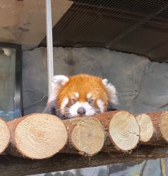 -Zoolung Zoolung动物主题公园(海信广场店)