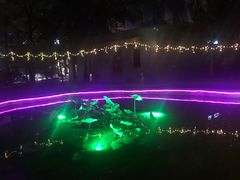 -枫花园汽车电影院(朝阳公园店)