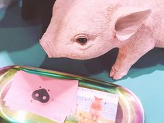 -WHEN PIGS FLY当猪飞